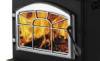 Napoleon 1400 Cast Iron Door - Satin Chrome